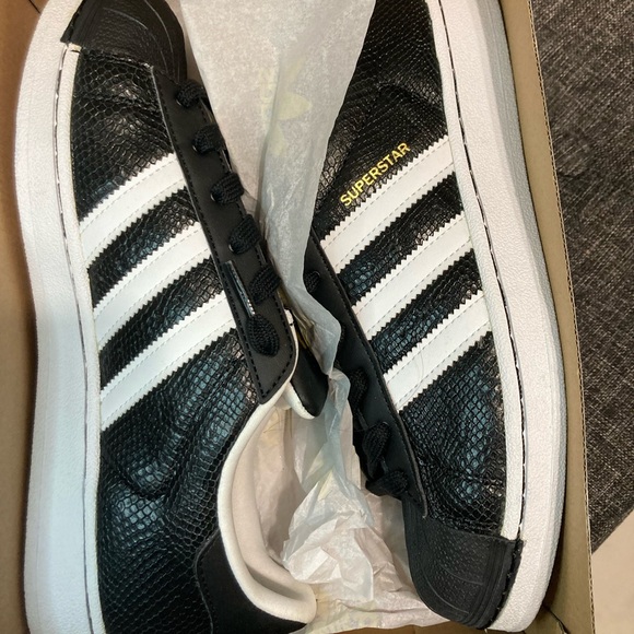 Superstar Reptile 🦎 J - Picture 2 of 5